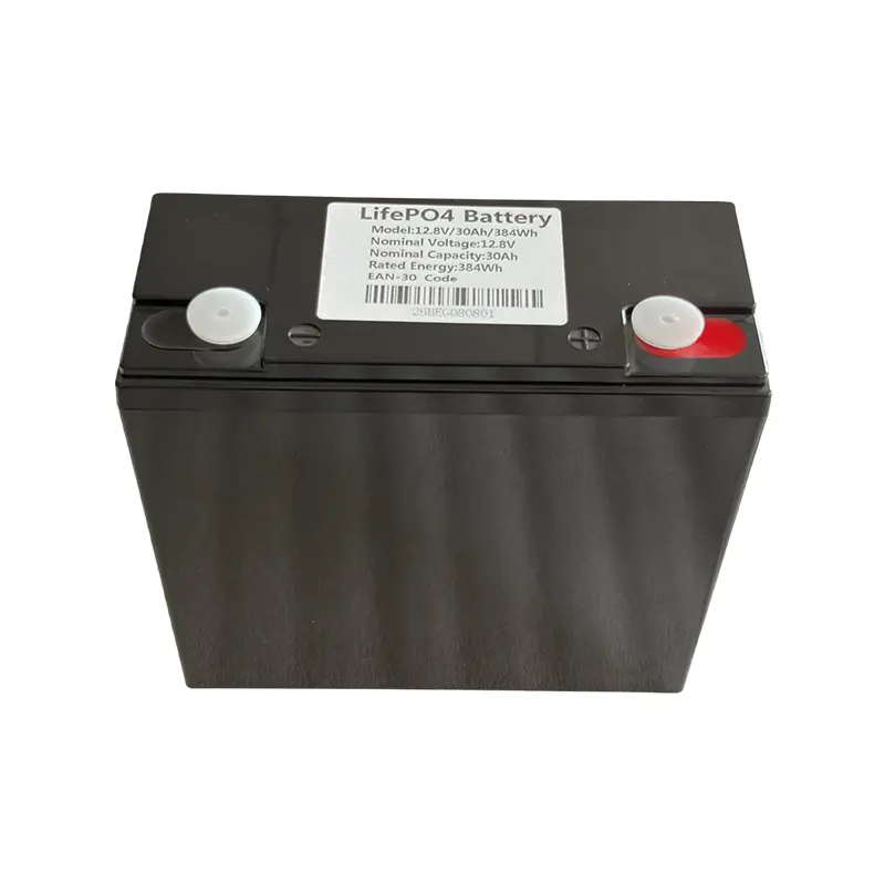 Pek Bateri LiFePO4 12V 30Ah